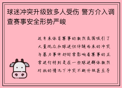 球迷冲突升级致多人受伤 警方介入调查赛事安全形势严峻