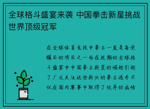 全球格斗盛宴来袭 中国拳击新星挑战世界顶级冠军